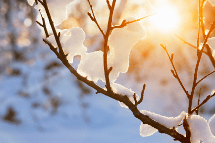 Ekstremi širom svijeta: Planeta imala jedan od najtoplijih januara ikada
