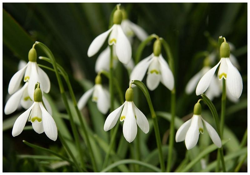Po narodnoj tradiciji počinje buđenje prirode