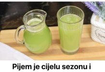 Pijem je cijelu sezonu i NIKAD se ne debljam: Ovaj RECEPT zovem “mršava voda” – počinje da gori
