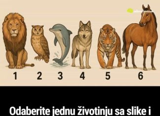 Odaberite jednu životinju sa slike i otkrijte šta drugi misle kad se spomene vaše ime