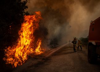 Vatrogasci upozoravaju roditelje: Djeca zbog opasnog trenda na društvenim mrežama namjerno izazivaju požare