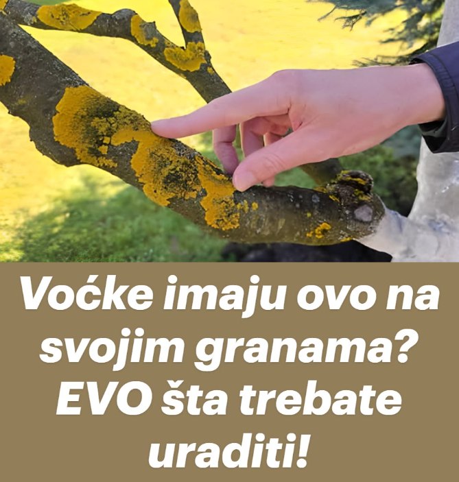 vvv