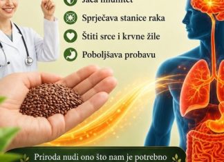 Rak mrzi ovih 6 sjemenki – Stariji ljudi, jedite ih svaki dan