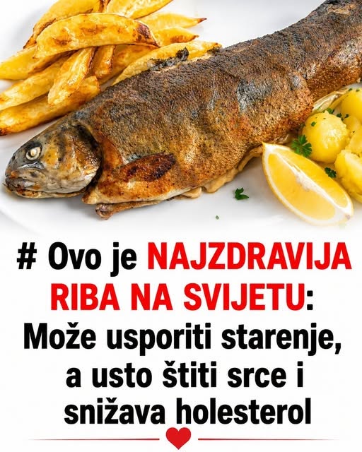 FNJ