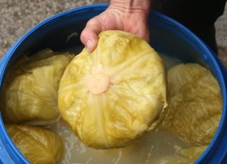 Koliko soli ide na 10 litara vode za kiseli kupus? Samo ovo je prava količina