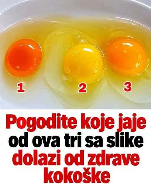 fe92da3d-c45a-476c-960f-617e62b025e8